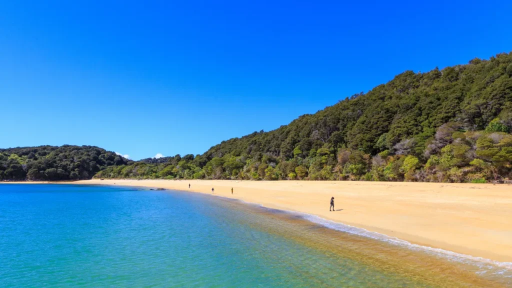 People on anchorage in the Abel Tasman