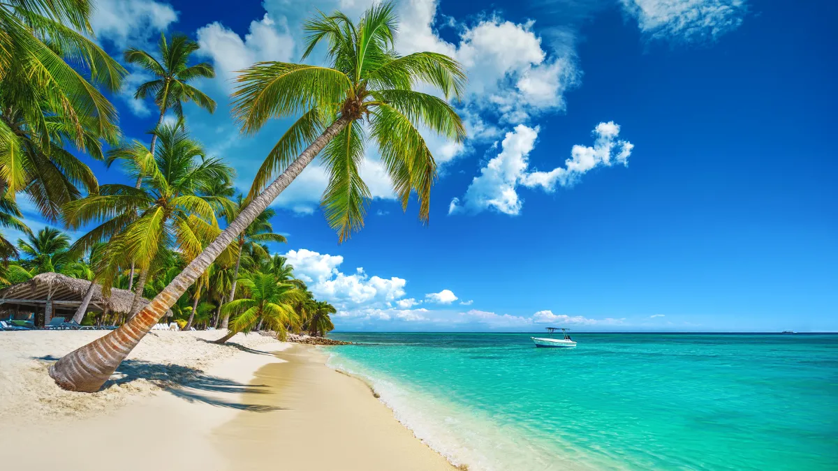 Playa Bavaro, Saona, Punta Cana, Dominican Republic