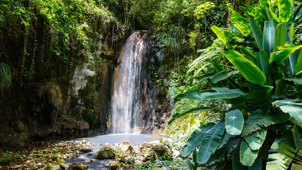 Sant Lucia jungle landscape