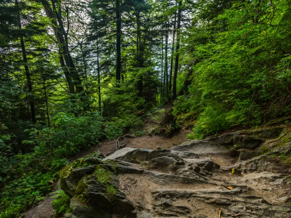 The Appalachian Trail