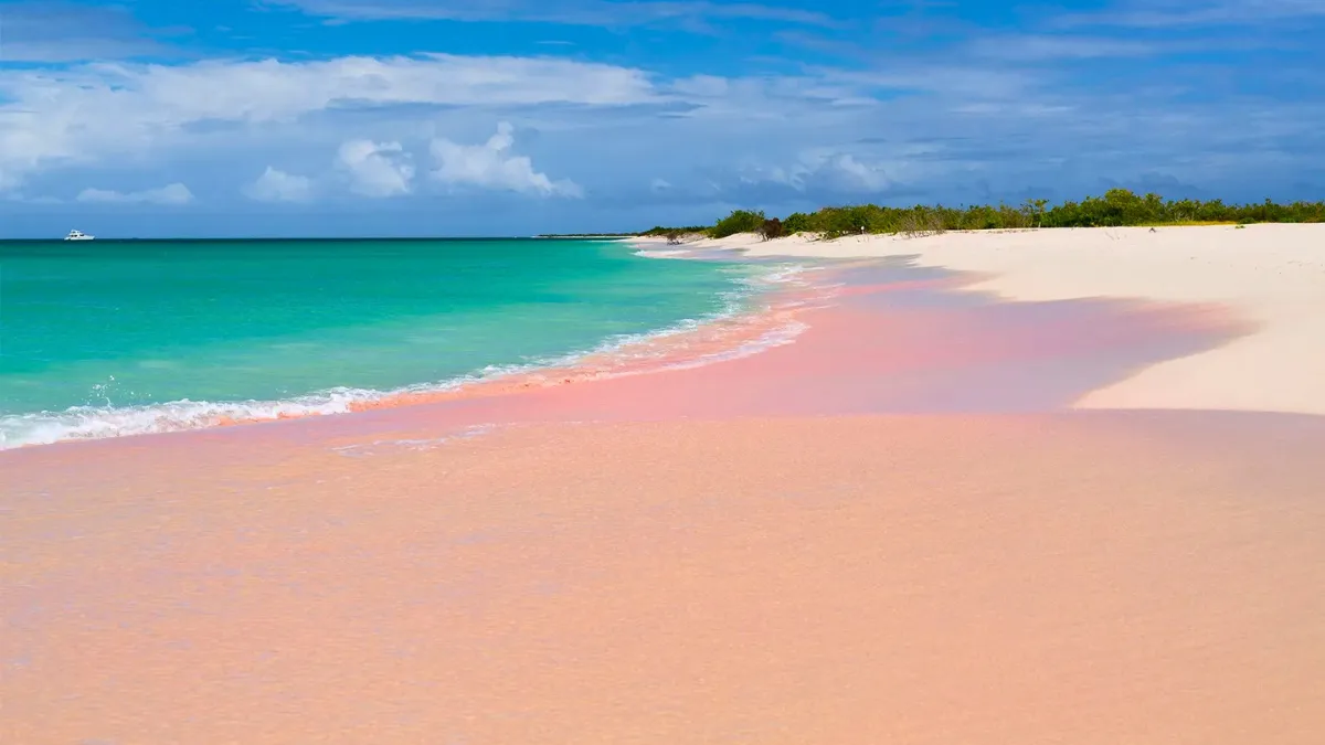 The beach and ocean of Barbuda