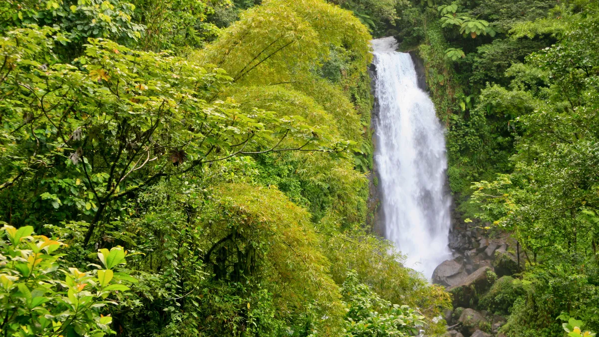 Trafalgar Falls, Dominica