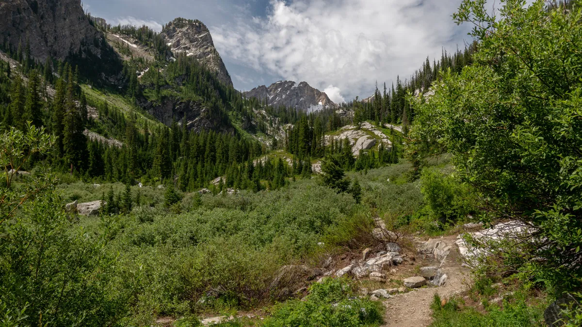 Valley views in Grand Teton National Park