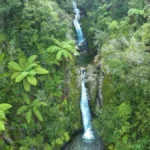Waterfalls in Abel Tasman National Park, traveling through New Zealand