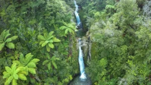 Waterfalls in Abel Tasman National Park, traveling through New Zealand