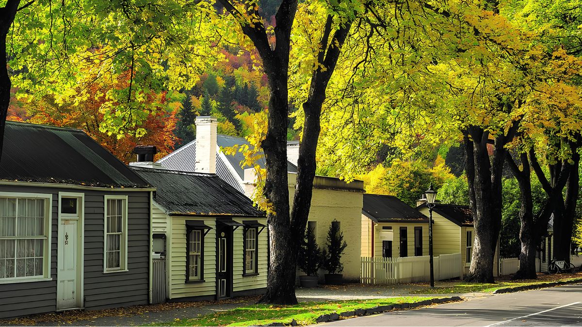 Row of cottages beneath bright autumn trees beside a quiet road