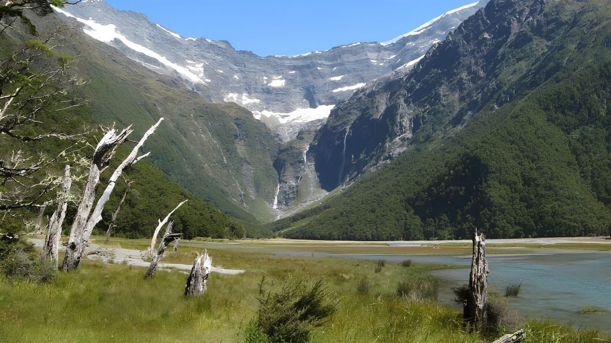 Snow-capped mountains with a waterfall above a lake, viewed across a grassy meadow and forest