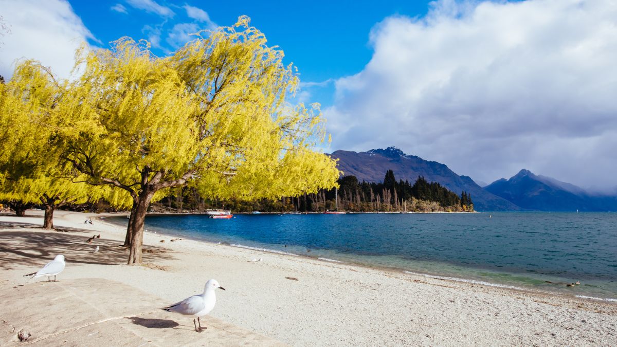 Sandy lakeshore with yellow-leaved trees, seagulls, blue water, and mountains beneath a cloudy sky
