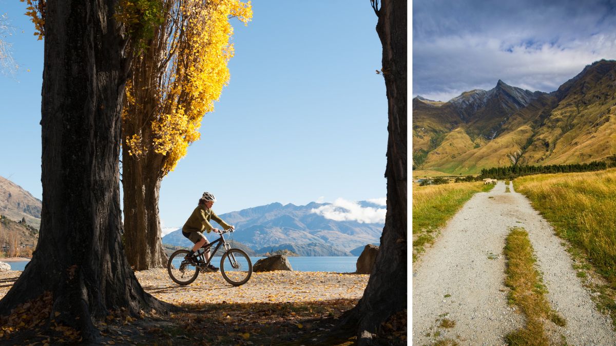 Cycling and Hiking Trails in Wānaka