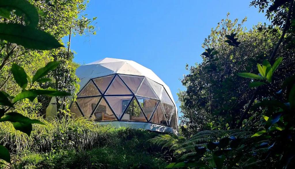 The Geodesic Dome in Pohara Golden Bay