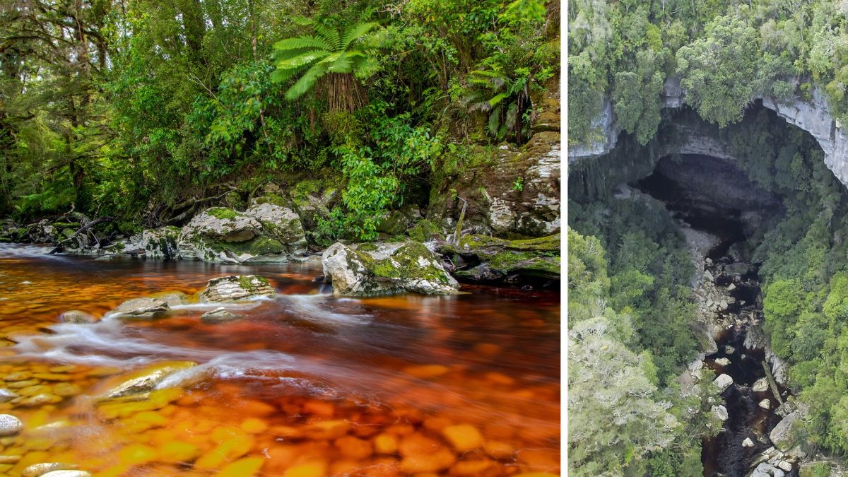 Honey-coloured river in the Oparara Basin and the huge limestone Oparara Arch