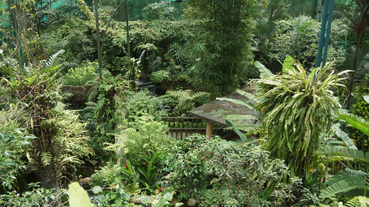 KL Butterfly Park a family favorite