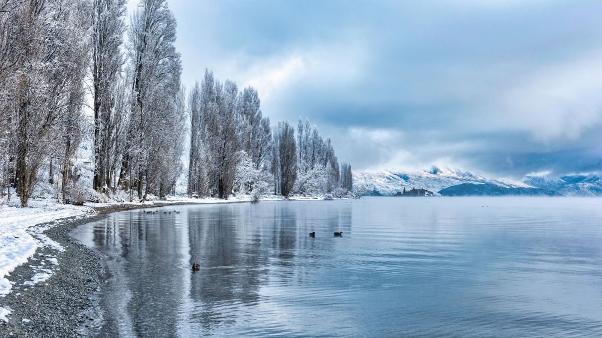 Lake Wānaka in winter and some very brave ducks
