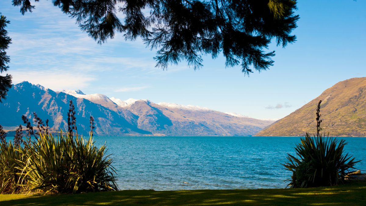 Lake surrounded by mountains, viewed from a grassy shore with spiky plants and overhanging trees
