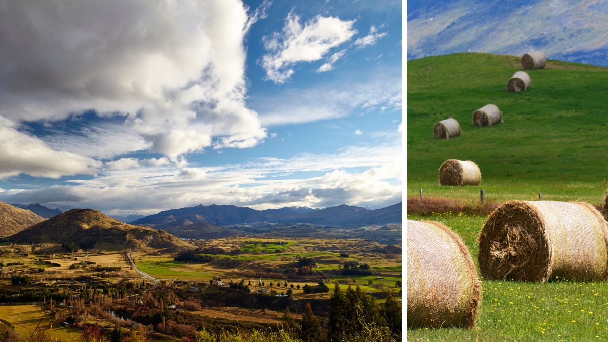 Mountain valley beneath dramatic clouds beside a green meadow dotted with round hay bales