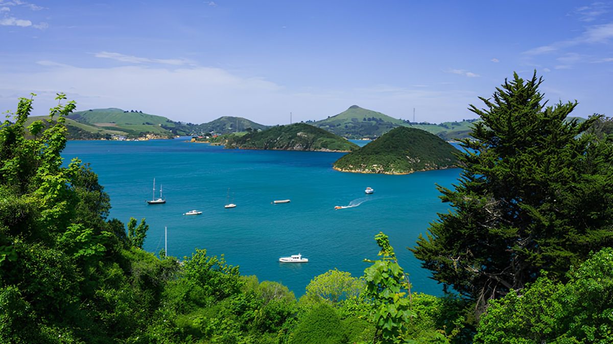 Port Chalmers Quarantine Island, Dunedin, NZ