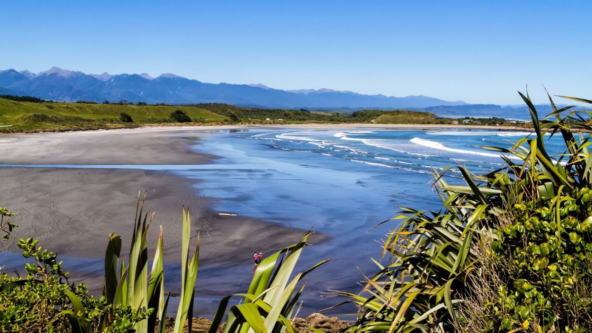 Coastal beach with shallow waves, native plants in the foreground, and mountains across the bay