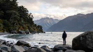 West Coast of the South Island in New Zealand beside the Southern Alps and Tasman Sea