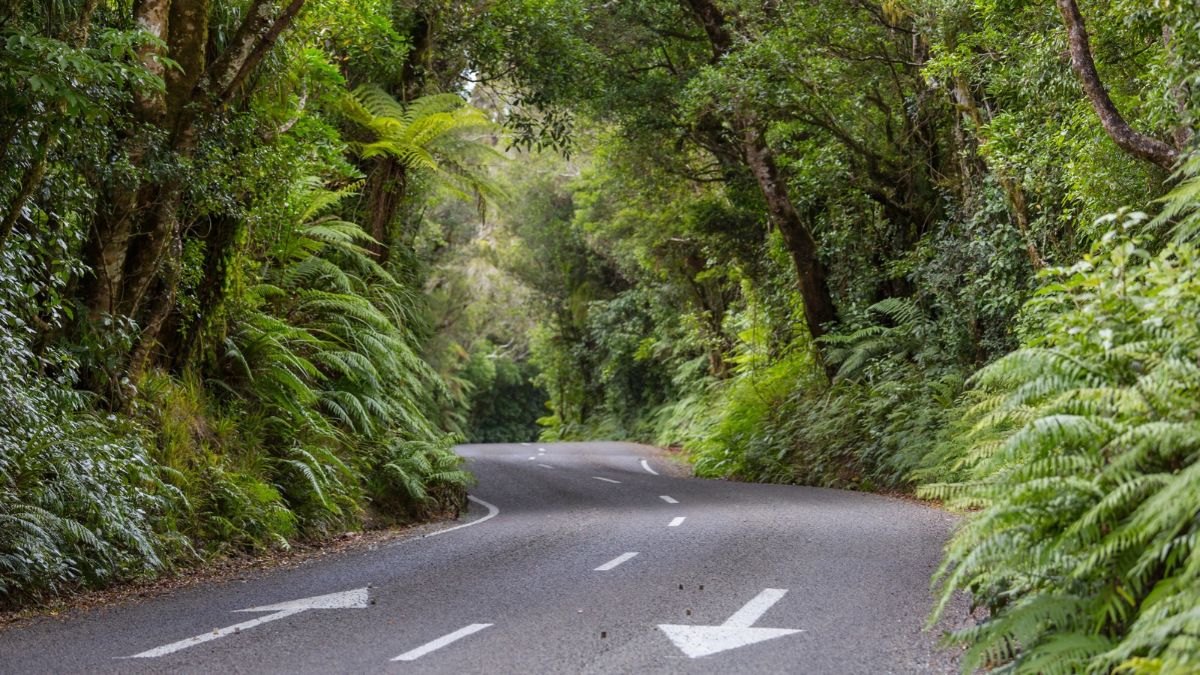 winding single lane road through the West Coast New Zealand