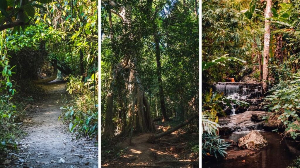 Monks Trail views Chiang Mai